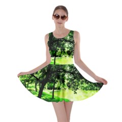 Lake Park 17 Skater Dress by bestdesignintheworld