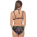 Old Tree 6 Double Strap Halter Bikini Set View2