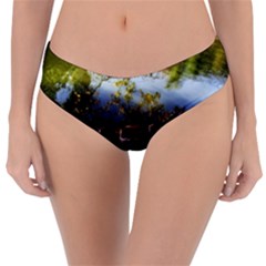 Highland Park 10 Reversible Classic Bikini Bottoms by bestdesignintheworld