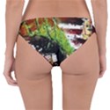 Collosium   Swards And Helmets 3 Reversible Hipster Bikini Bottoms View4