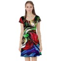 Lillies In Terracota Vase Short Sleeve Skater Dress View1