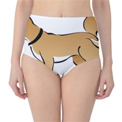 Dog Brown Pet Animal Tail Eskimo Classic High-waist Bikini Bottoms by Nexatart