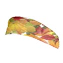 Autumn Fall Leaves Stretchable Headband View1