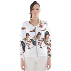 Bird Birds Branch Flowers Vintage Windbreaker (women) by Sapixe