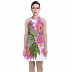 Daisies Flowers Arrangement Summer Velvet Halter Neckline Dress  by Sapixe