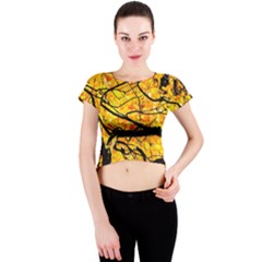 Golden Vein Crew Neck Crop Top by FunnyCow