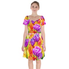 Tulip Flowers Short Sleeve Bardot Dress by FunnyCow