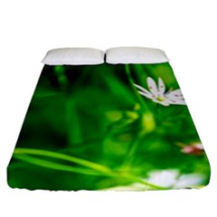 Inside The Grass Fitted Sheet (king Size) by FunnyCow