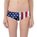 American Usa Flag Vertical Classic Bikini Bottoms View1