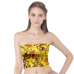 Birch Tree Yellow Leaves Tube Top by FunnyCow