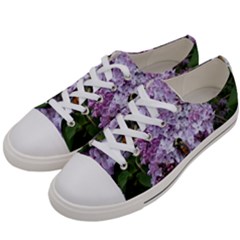 Lilac Bumble Bee Women s Low Top Canvas Sneakers by IIPhotographyAndDesigns