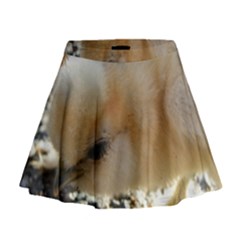 Silkie Chick  Mini Flare Skirt by IIPhotographyAndDesigns