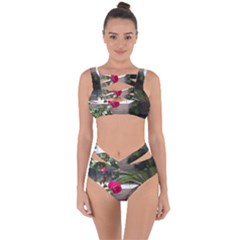 Balboa 5 Bandaged Up Bikini Set  by bestdesignintheworld