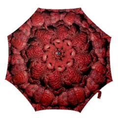 Red Raspberries Hook Handle Umbrellas (medium) by FunnyCow