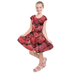 Red Raspberries Kids  Short Sleeve Dress by FunnyCow