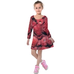 Red Raspberries Kids  Long Sleeve Velvet Dress by FunnyCow