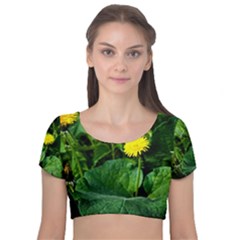 Yellow Dandelion Flowers In Spring Velvet Short Sleeve Crop Top  by FunnyCow