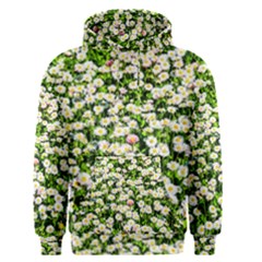 Green Field Of White Daisy Flowers Men s Pullover Hoodie by FunnyCow