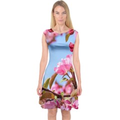 Crab Apple Blossoms Capsleeve Midi Dress by FunnyCow