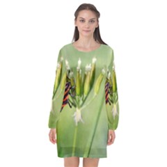 One More Bottle Does Not Hurt Long Sleeve Chiffon Shift Dress  by FunnyCow