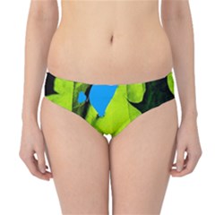 Window Of Opportunity Hipster Bikini Bottoms by FunnyCow