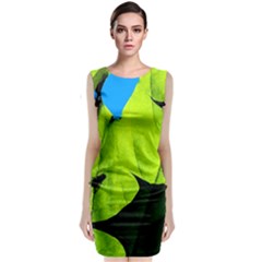 Window Of Opportunity Classic Sleeveless Midi Dress by FunnyCow