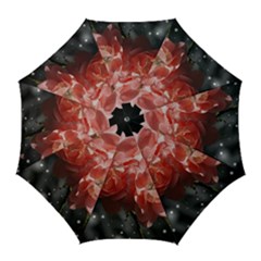 Rose 572757 1920 Golf Umbrellas by vintage2030