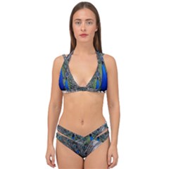 Peacock Bird Animals Pen Plumage Double Strap Halter Bikini Set by Sapixe