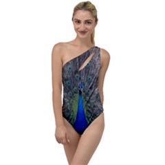 Peacock Bird Animals Pen Plumage To One Side Swimsuit by Sapixe