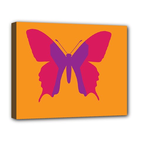 Butterfly Wings Insect Nature Deluxe Canvas 20  X 16  (stretched) by Nexatart