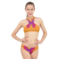 Butterfly Wings Insect Nature High Neck Bikini Set by Nexatart