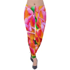 Blushing Tulip Flowers Velvet Leggings by FunnyCow