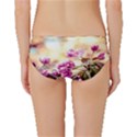 Paradise Apple Blossoms Classic Bikini Bottoms View2