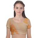 ORANGE 2 Velvet Short Sleeve Crop Top  View1