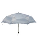 Background 1659631 1920 Folding Umbrellas View3