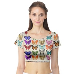 Butterfly 1126264 1920 Short Sleeve Crop Top by vintage2030