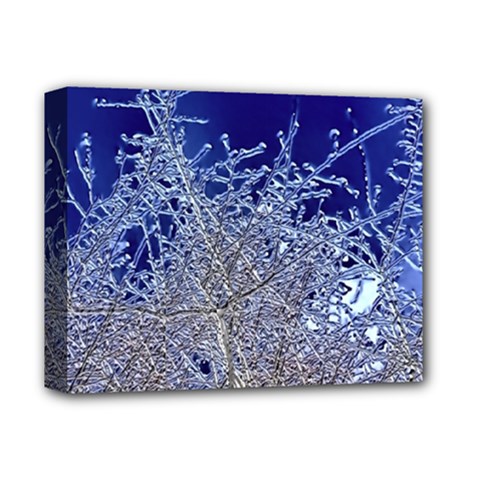 Crystalline Branches Deluxe Canvas 14  X 11  (stretched) by DeneWestUK