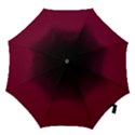 Ombre Hook Handle Umbrellas (Medium) View1