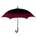 Ombre Hook Handle Umbrellas (Medium) View3