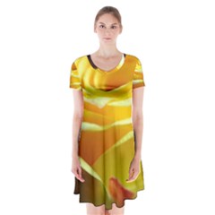 Soft Yellow Rose Short Sleeve V-neck Flare Dress by bloomingvinedesign