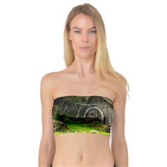 Landscape # 3 The Shed Bandeau Top by ArtworkByPatrick