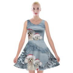 Christmas, Cute Dogs And Squirrel With Christmas Hat Velvet Skater Dress by FantasyWorld7