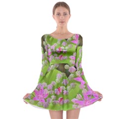 Hot Pink Succulent Sedum With Fleshy Green Leaves Long Sleeve Skater Dress by myrubiogarden