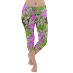 Hot Pink Succulent Sedum With Fleshy Green Leaves Lightweight Velour Capri Yoga Leggings by myrubiogarden