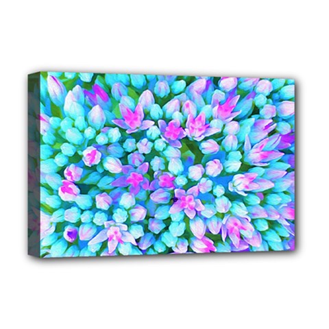 Blue And Hot Pink Succulent Sedum Flowers Detail Deluxe Canvas 18  X 12  (stretched) by myrubiogarden