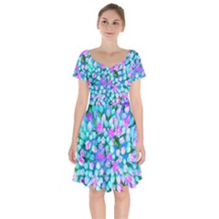 Blue And Hot Pink Succulent Sedum Flowers Detail Short Sleeve Bardot Dress by myrubiogarden