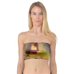 Cosmicchristmastree Bandeau Top by chellerayartisans