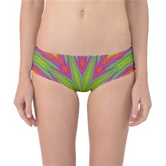 Abstract Art Abstract Background Classic Bikini Bottoms by Wegoenart