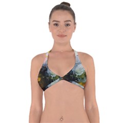 Art Abstract Painting Halter Neck Bikini Top by Pakrebo