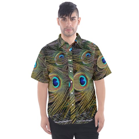 Peacock Tail Feathers Close Up Men s Short Sleeve Shirt by Pakrebo